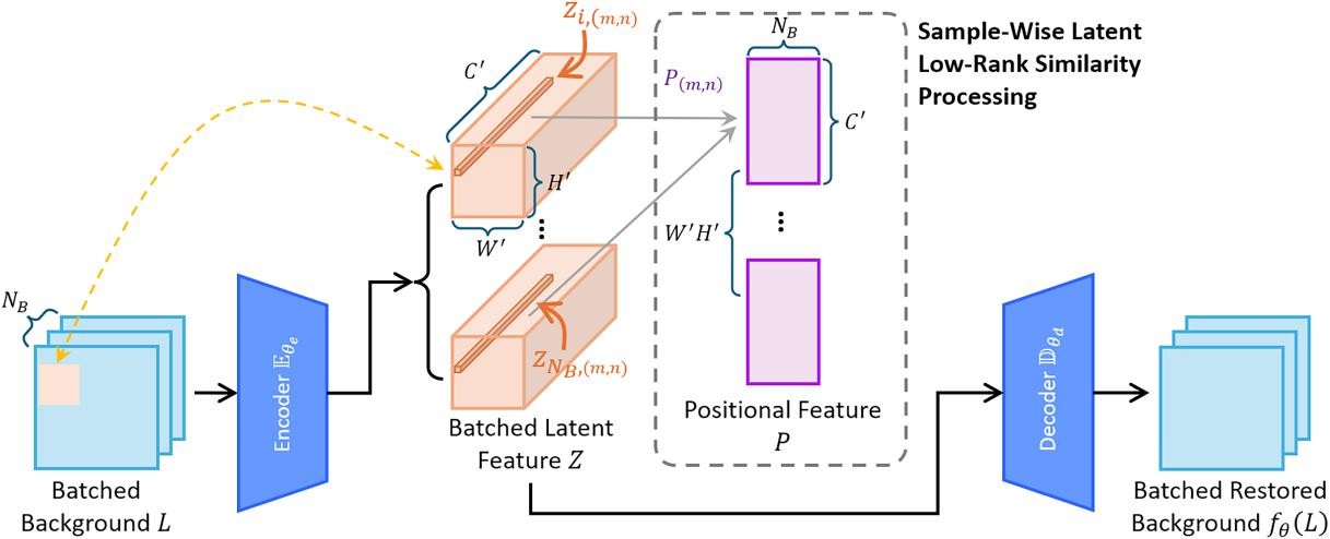 DISCO’s autoencoder with sample-wise latent low-rank similarity (Wang et al., 2026).